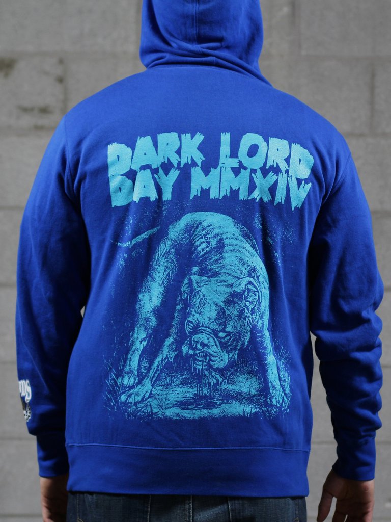 2014 blue hoodie b.jpg
